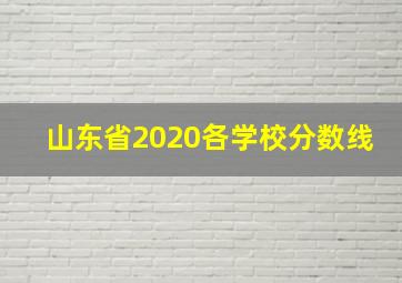 山东省2020各学校分数线