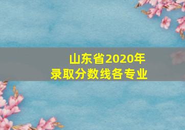 山东省2020年录取分数线各专业