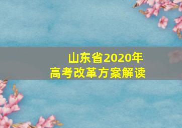 山东省2020年高考改革方案解读