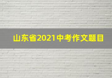 山东省2021中考作文题目