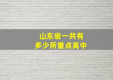 山东省一共有多少所重点高中