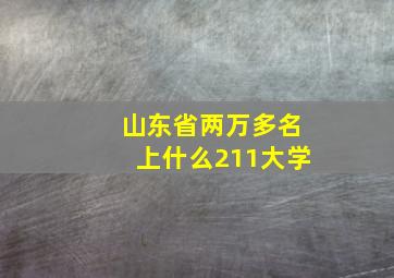 山东省两万多名上什么211大学