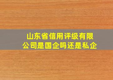 山东省信用评级有限公司是国企吗还是私企