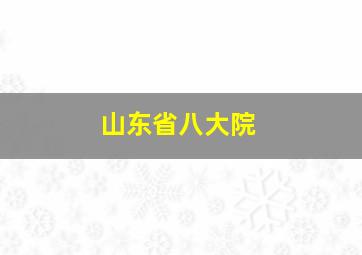 山东省八大院