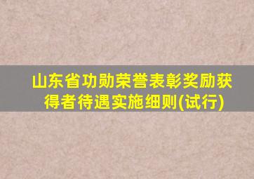 山东省功勋荣誉表彰奖励获得者待遇实施细则(试行)