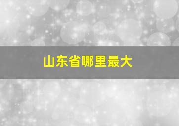 山东省哪里最大