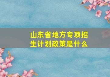 山东省地方专项招生计划政策是什么