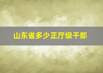 山东省多少正厅级干部