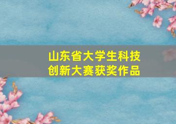 山东省大学生科技创新大赛获奖作品