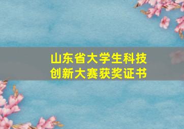 山东省大学生科技创新大赛获奖证书