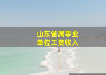 山东省属事业单位工资收入