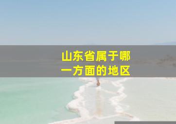 山东省属于哪一方面的地区