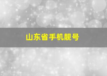 山东省手机靓号