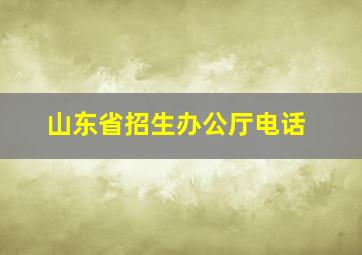 山东省招生办公厅电话