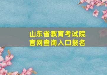 山东省教育考试院官网查询入口报名