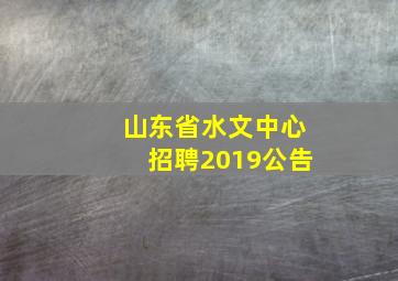 山东省水文中心招聘2019公告