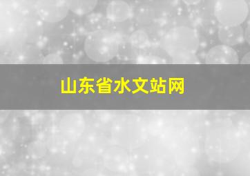 山东省水文站网