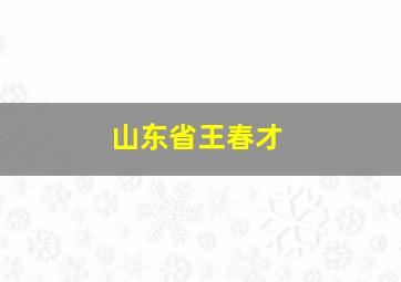 山东省王春才