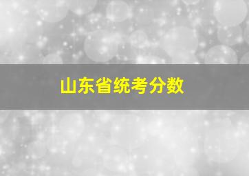 山东省统考分数