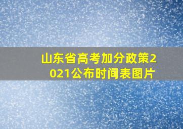 山东省高考加分政策2021公布时间表图片