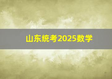 山东统考2025数学