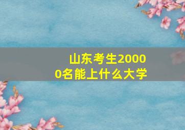 山东考生20000名能上什么大学