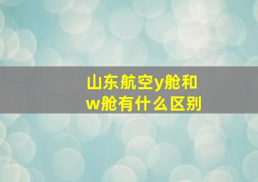 山东航空y舱和w舱有什么区别