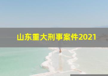 山东重大刑事案件2021