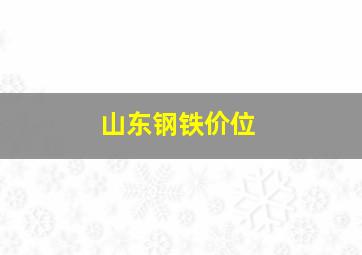 山东钢铁价位