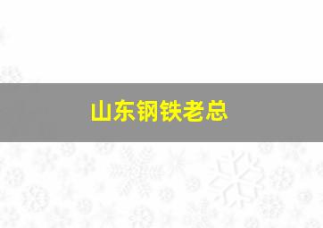 山东钢铁老总