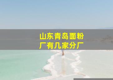 山东青岛面粉厂有几家分厂