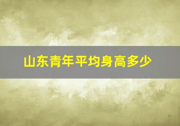 山东青年平均身高多少