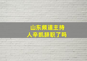 山东频道主持人辛凯辞职了吗