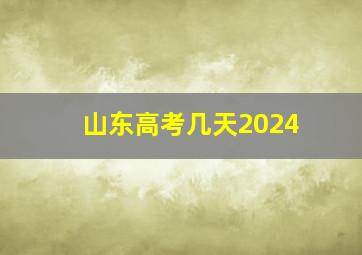 山东高考几天2024