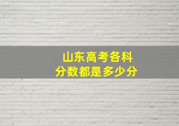 山东高考各科分数都是多少分