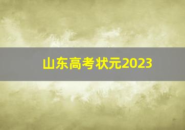 山东高考状元2023