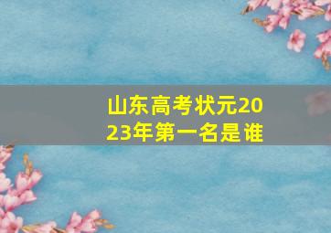 山东高考状元2023年第一名是谁