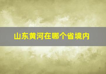 山东黄河在哪个省境内