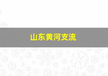 山东黄河支流