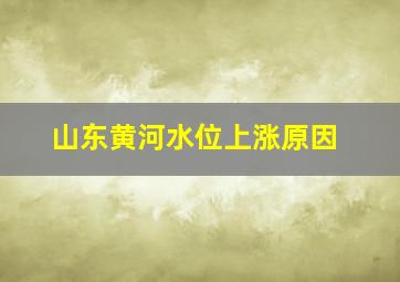 山东黄河水位上涨原因