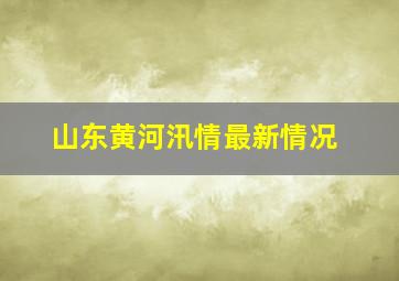 山东黄河汛情最新情况