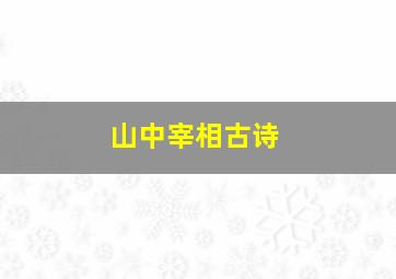 山中宰相古诗