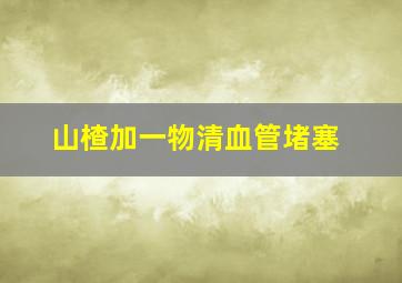 山楂加一物清血管堵塞