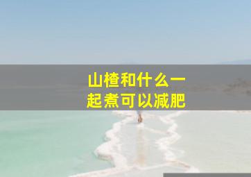 山楂和什么一起煮可以减肥