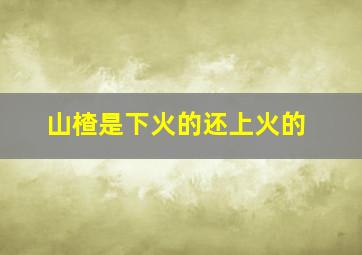 山楂是下火的还上火的