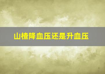 山楂降血压还是升血压