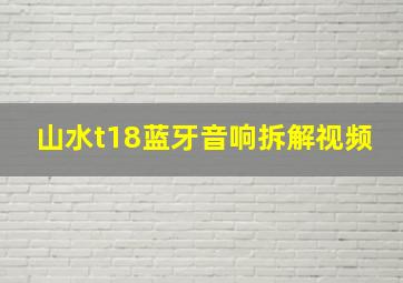 山水t18蓝牙音响拆解视频