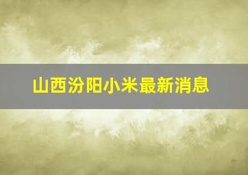 山西汾阳小米最新消息