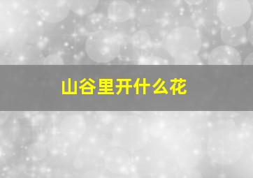 山谷里开什么花