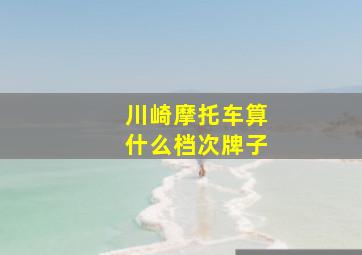 川崎摩托车算什么档次牌子